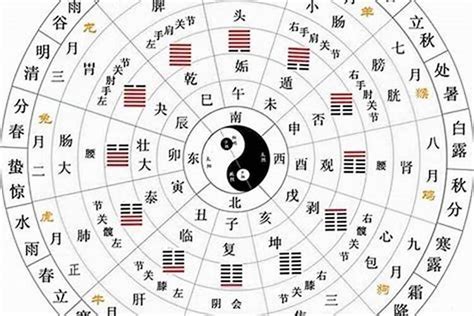 什么是天干地支|解析十天干和十二地支的来源